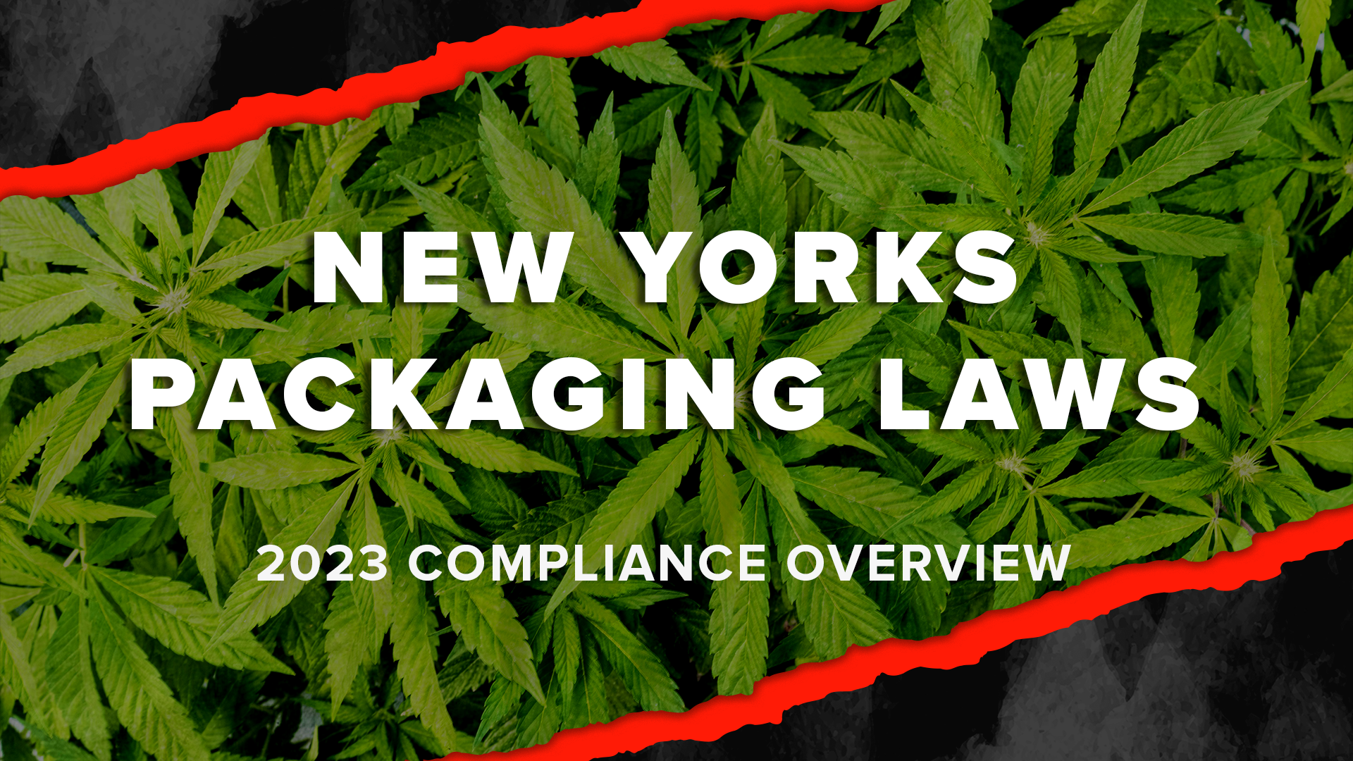 New York's Cannabis Packaging Laws