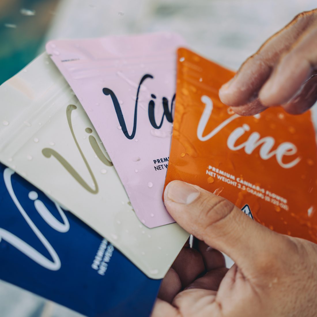 vine gloss bags